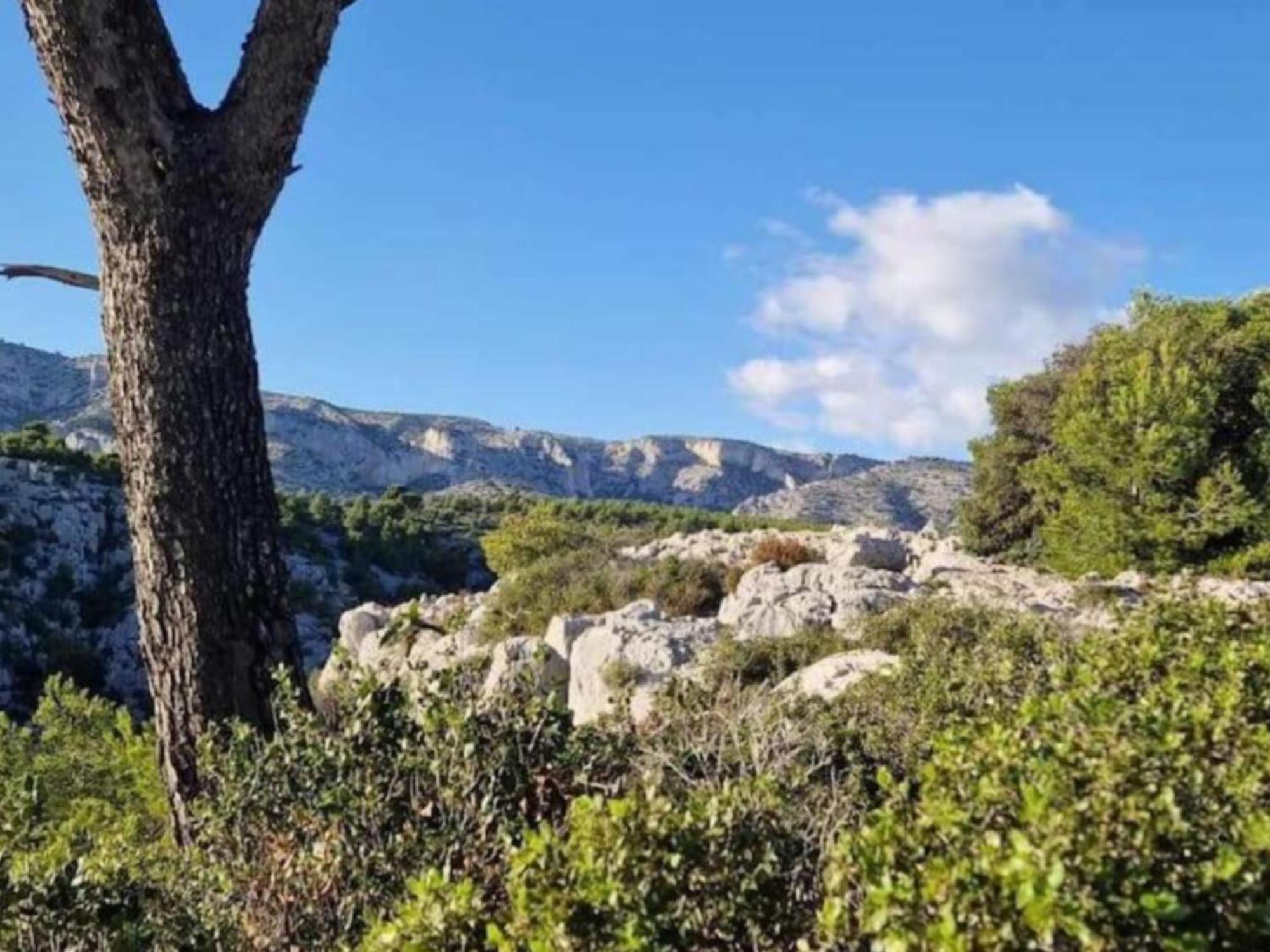 Appartement Le Perchoir De Cassis Cocoon Extérieur photo